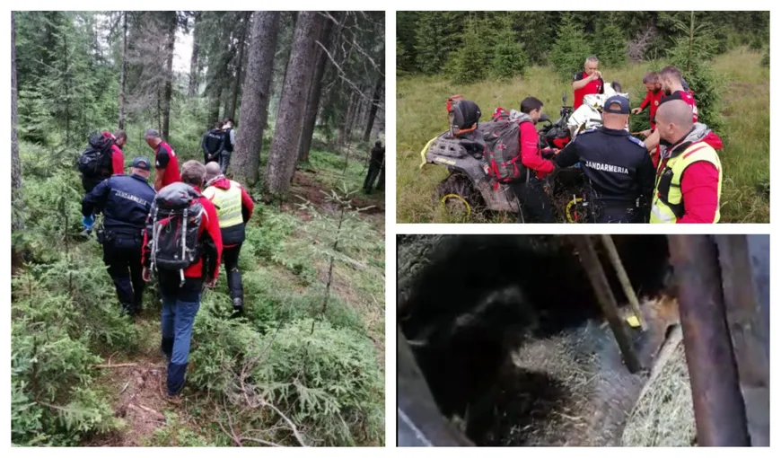 VIDEO ŞOCANT Tânăr de 26 de ani, omorât de urs în Harghita. Bărbatul a apucat să fugă doar 300 de metri de animal, într-o pădure