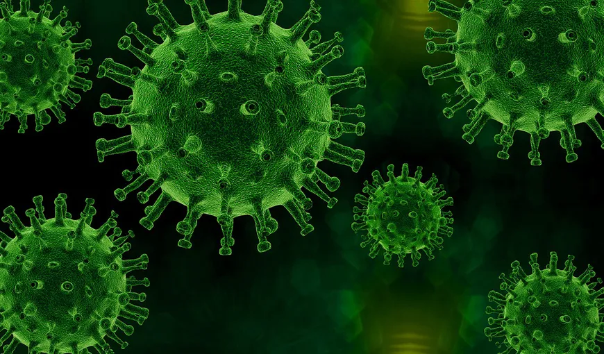 Bărbat din Neamţ, diagnosticat cu o boală rară provocată de un virus care a stârnit panică în China.Turiştii care merg la munte sunt în pericol