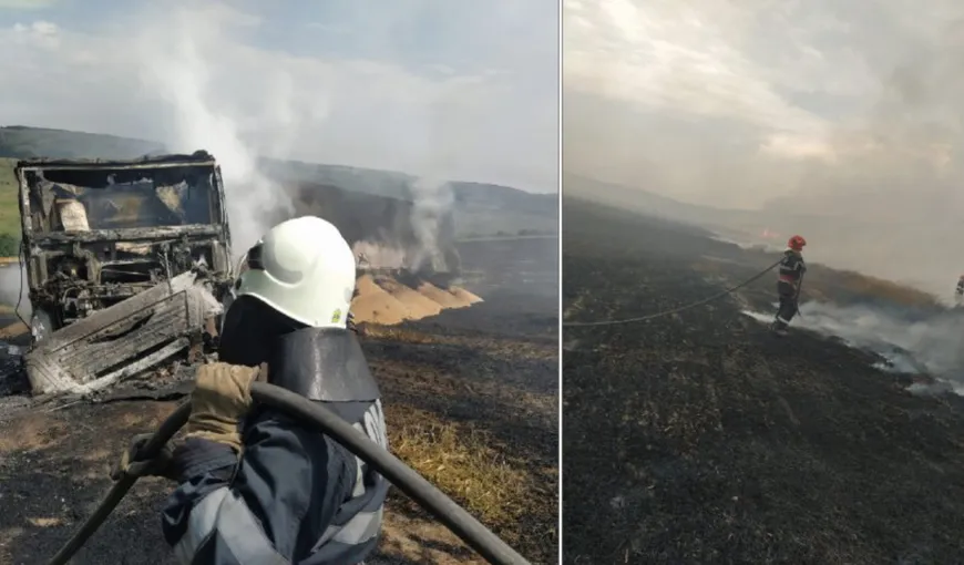 Un incendiu cumplit a distrus un lan de grâu din Vaslui. Flăcările violente ar putea cuprinde pădurea