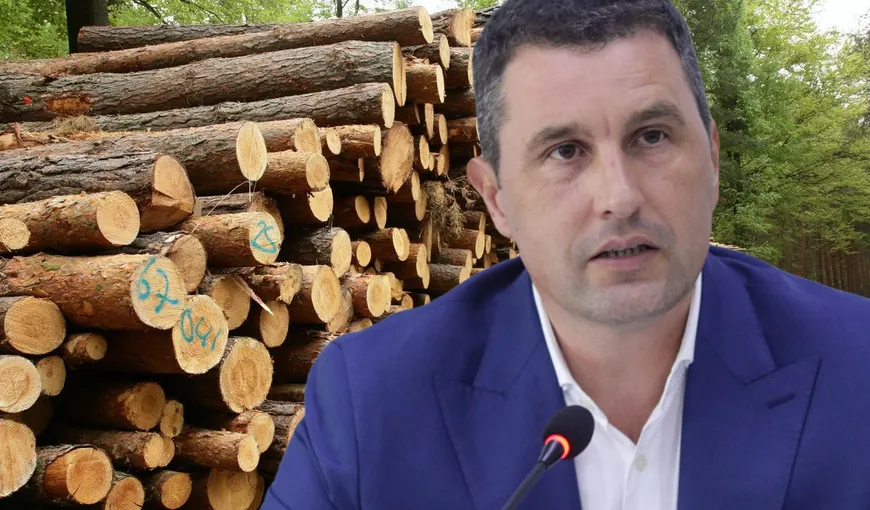 Tanczos Barna recomandă montarea centralelor pe lemne şi anunţă un miliard de euro pentru panouri voltaice