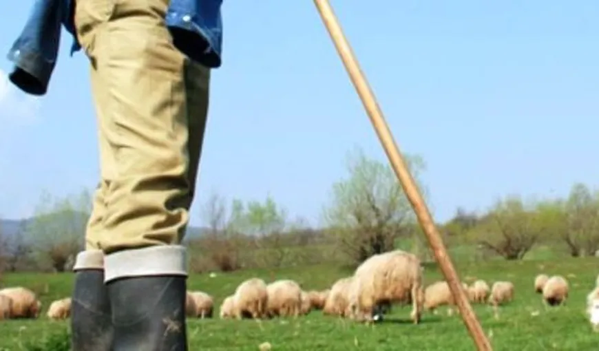 Un cioban din Iaşi şi-a înjunghiat iubita în zona intimă, „ca să nu mai fie ca alţii”