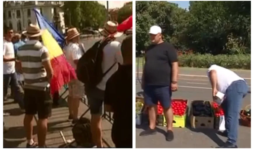 Protest cu roşii şi vinete în Piaţa Victoriei VIDEO