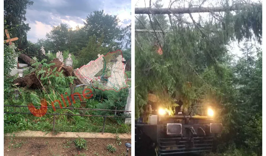Furtunile au făcut ravagii în ţară: Cimitir devastat de vântul puternic, trenuri întârziate şi copaci smulşi din rădăcini