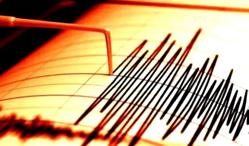 Cutremur cu magnitudinea 3,5 grade pe scara Richter în Vrancea