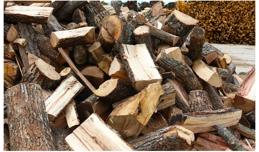 Românii ar putea plăti mai puţin pe lemnele de foc în această iarnă