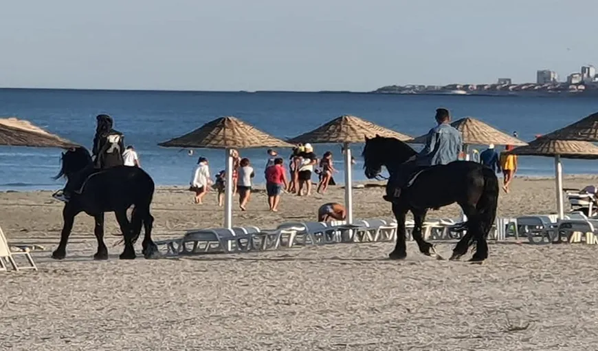 Apariţie spectaculoasă pe o plajă din Mamaia Nord. Doi cai, surprinşi printre turişti. Fotografiile au devenit imediat virale – FOTO