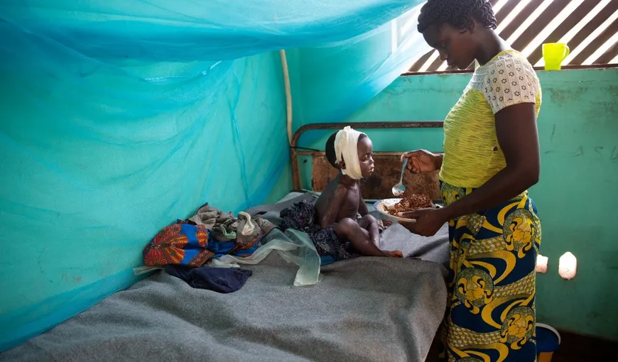 Focar de holeră în Nigeria. Peste 2000 de persoane au murit, reprezentând o rată de deces de 3,3 procente