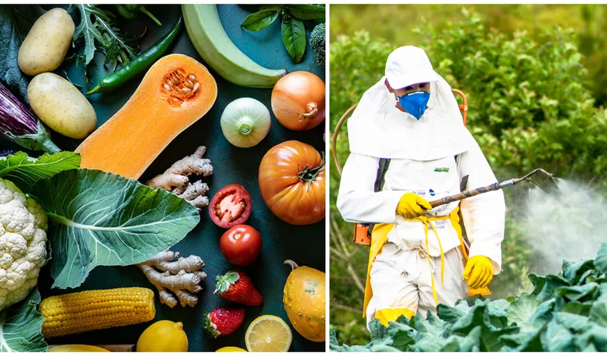 Otrava din fructele românilor. Pesticidele, „ucigașul secret” care provoacă cancer