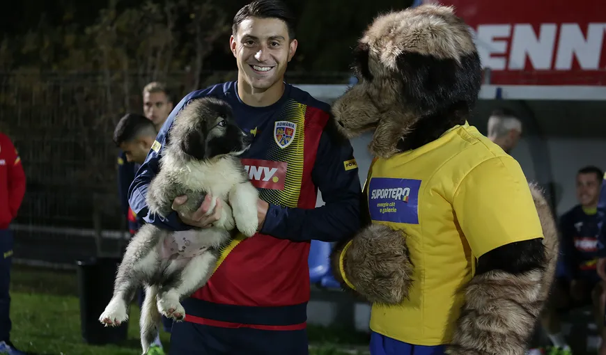 Ciobănescul carpatin a devenit mascota echipei naţionale de fotbal a României VIDEO