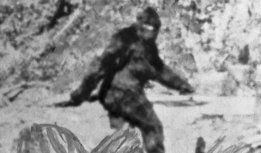 Misterul lui Bigfoot se adâncește. Ce au descoperit oamenii de ştiinţă