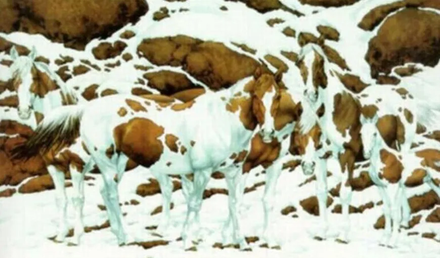 O iluzie optică înfăţişând mai mulţi cai a împărţit internetul în două: câte animale sunt în poză?
