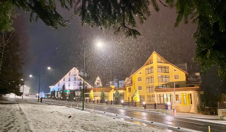 Val de ninsori abundente în România. ANM a emis noi alerte meteo de ninsori, vânt puternic și polei pentru 14 judeţe