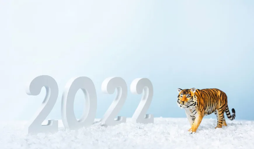Zodiac CHINEZESC 2022. Anul Tigrului de Apa aduce aventura, nimic nu se face la scara mica