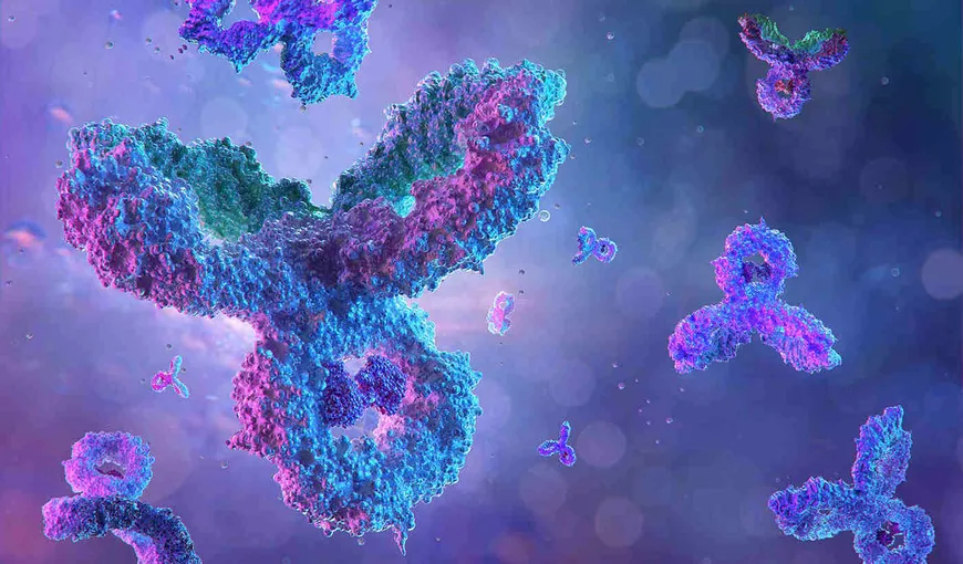 COVID-19 poate declanşa producerea de anticorpi care pot ataca țesuturi și organe sănătoase – STUDIU