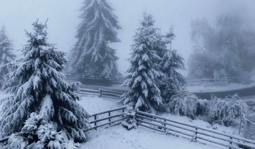 Prognoza meteo 8 – 21 ianuarie. Ger, viscol și ninsori în următoarele două săptămâni în România