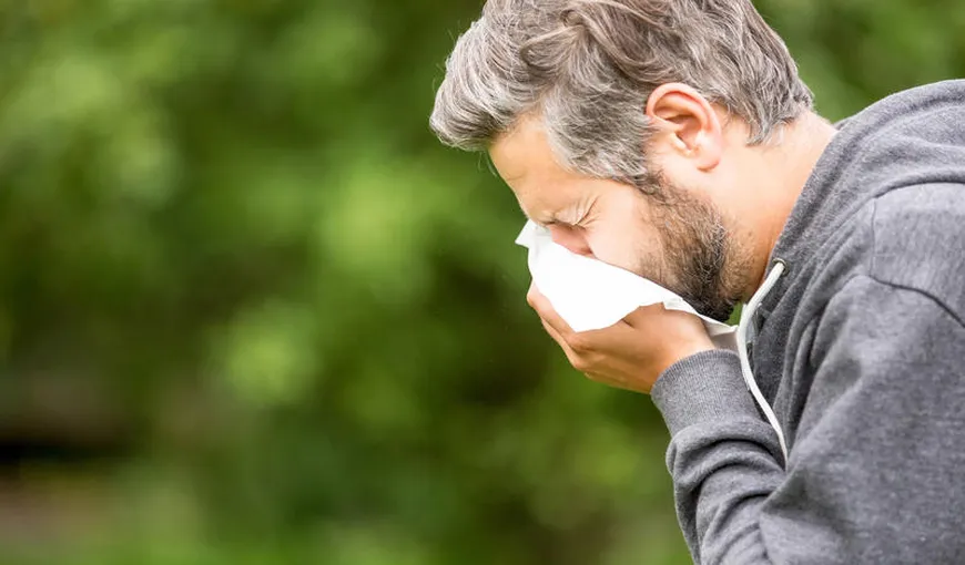 Cum scăpăm de alergiile de sezon cu ajutorul remediilor naturiste. Zece produse care ameliorează strănutul excesiv, iritațiile de pe piele și reduc inflamația căilor respiratorii