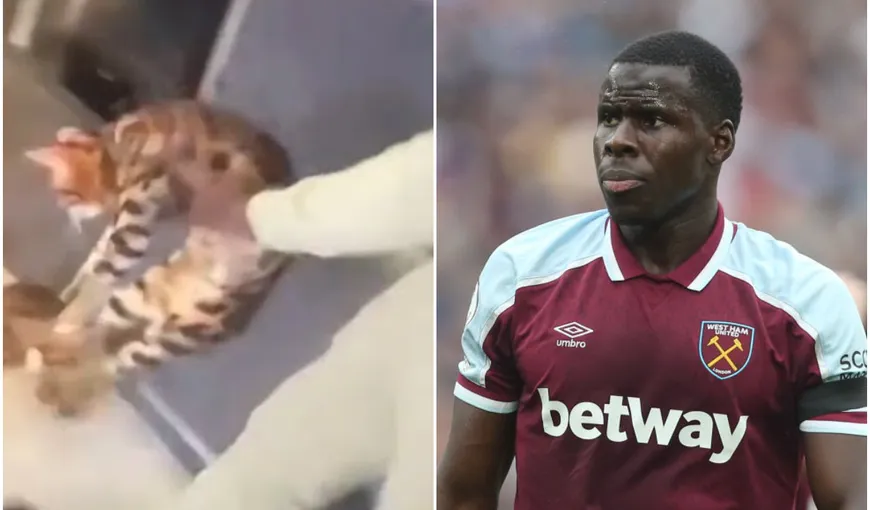 Kurt Zouma, filmat în timp ce îşi loveşte pisica! Starul francez al lui West Ham United va fi sancţionat VIDEO