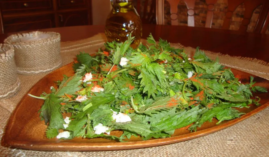 Salata-minune pe care trebuie să o mănânci în fiecare zi. Curăță sângele de toxine și ține la distanță gripa, preumonia și infecțiile urinare! Iată cum se prepară