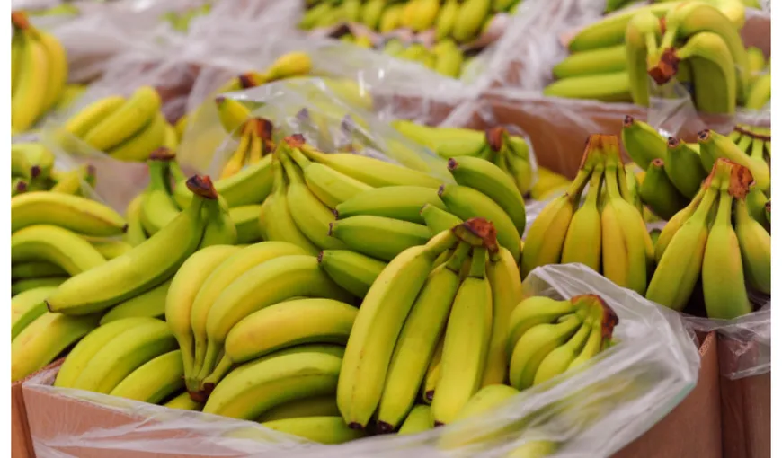Banane cu pesticide şi îngheţată cu substanţă cancerigenă, retrase de la raft. Alertă ANSVSA
