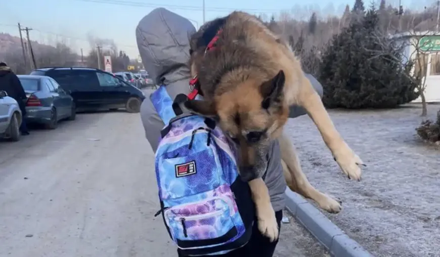 Imagini emoționante! A mers cu câinele în brațe 17 kilometri, după ce a fugit de bombardamentele din Kiev. ”Nu l-am putut abandona”
