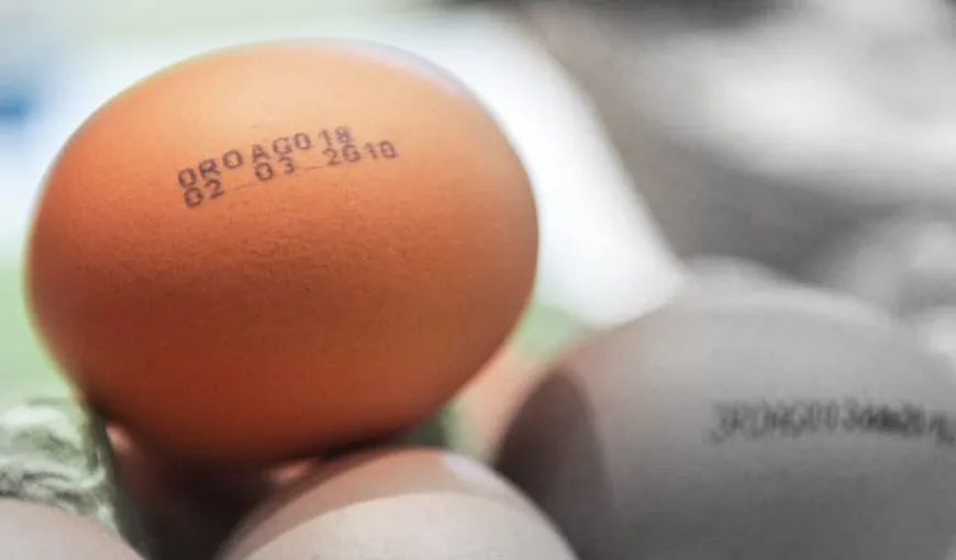 Sigur nu știai acest lucru! Ce reprezintă, de fapt, codul de pe ouăle din comerț!