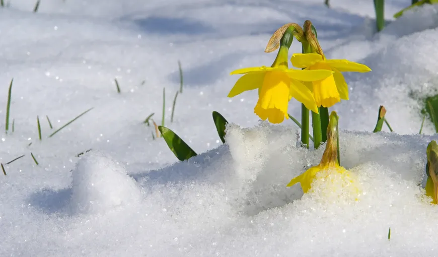 PROGNOZA METEO 14 martie. Iarna blochează venirea primăverii, temperaturile minime coboară la minus 10 grade