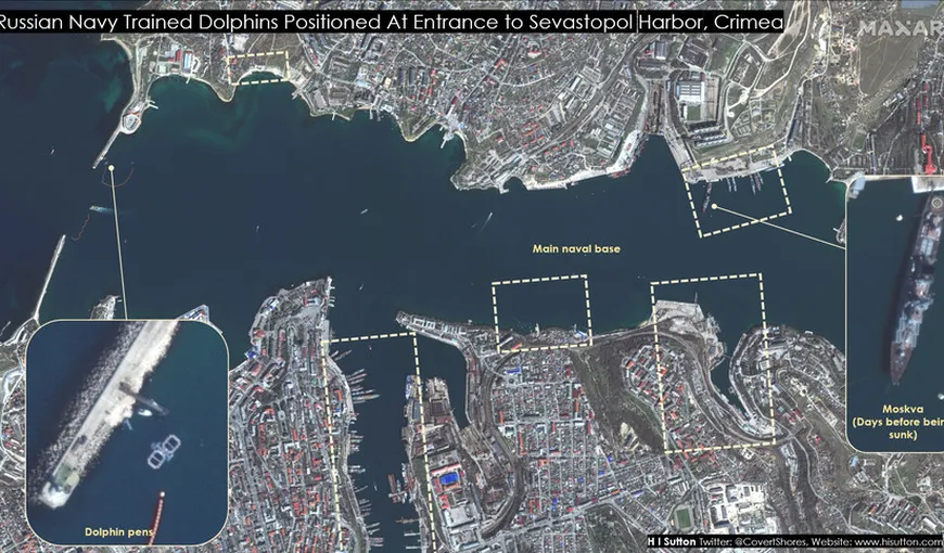 Armata de delfini ai lui Putin din Marea Neagră. Imagini uluitoare din satelit