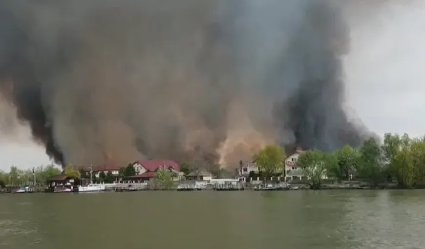 Incendiu de proporţii într-o zonă protejată din Delta Dunării. Focul s-a extins până în apropierea localităţii Crişan