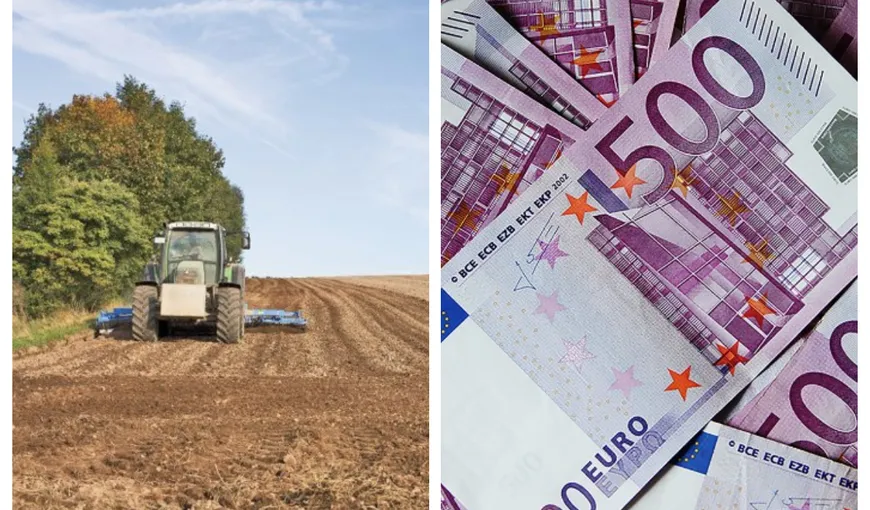 Subvenţii 2022. Veşti bune pentru agricultorii români: pot primi până la 120.000 de euro de persoană