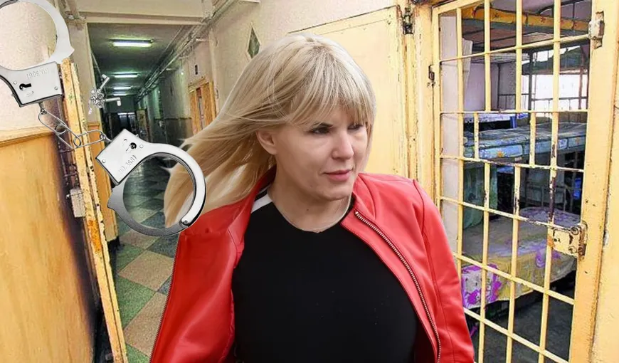 Elena Udrea, ultima şansă de a scăpa de condamnarea în Gala Bute. UPDATE: Instanţa a decis o nouă amânare