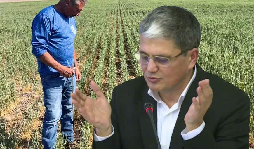 Ministrul Proiectelor Europene vrea ca România să umple golul lăsat de Ucraina, pe piaţa grâului. „Se anunţă perspectiva unei crize, dar avem un potenţial agricol uriaş”