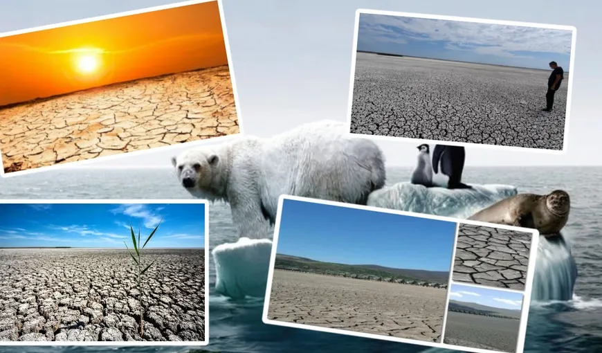 „Dunărea putea fi trecută cu piciorul, iar Rinul a secat”, încălzirea climatică de acum este infimă pe lângă arşiţele de altădată. Istoricul celor mai caniculare veri din ultimii 700 de ani