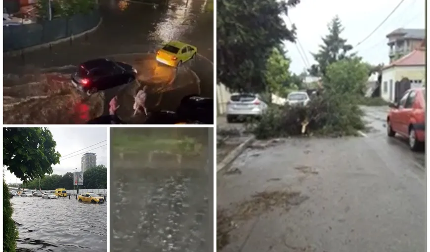 Furtuna a făcut prăpăd în București: străzi și case inundate, mașini distruse, copaci smulși din rădăcini