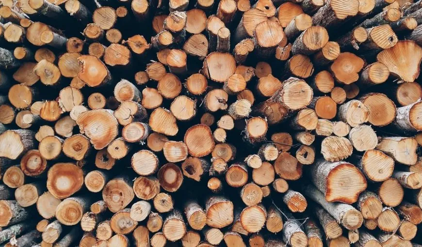 Ce se va întâmpla cu prețul lemnului de foc, pentru iarna 2022-2023. Proiectul va fi votat în Parlament