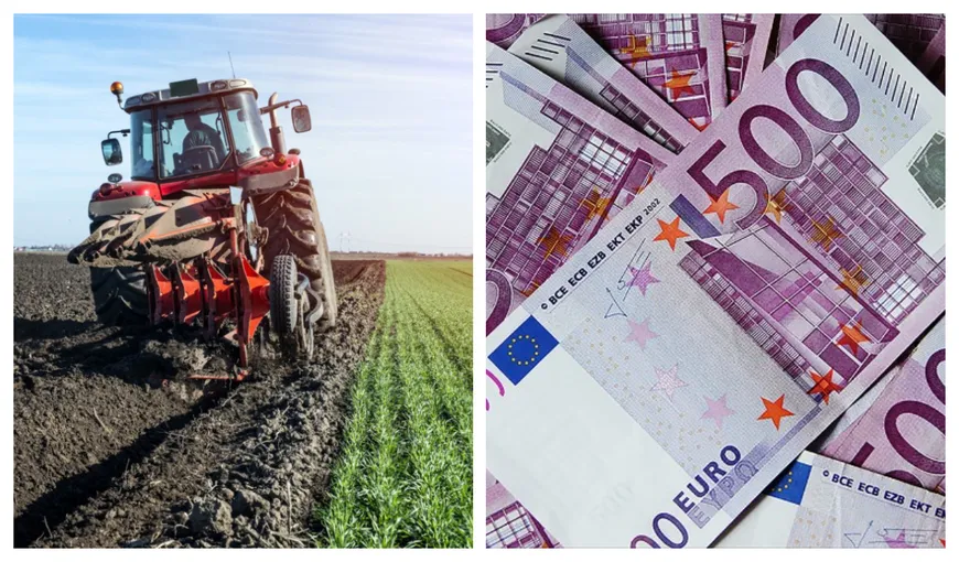 Se dau bani de la stat! Fermierii ar putea primi subvenţii de 35.000 de euro