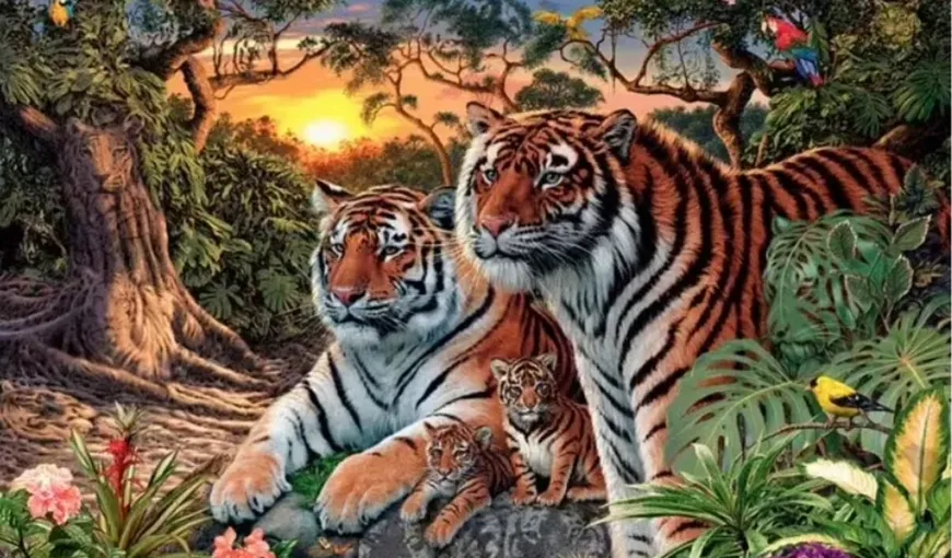 Poți găsi 16 tigri în această fotografie? Iluzia optică care a făcut înconjurul internetului. Doar câțiva utilizatori au găsit răspunsul