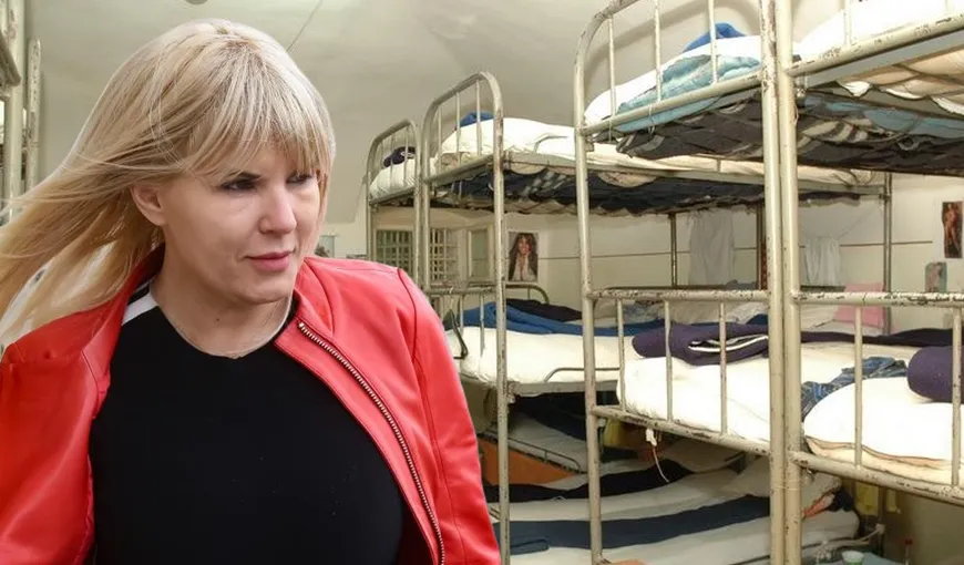 Elena Udrea, mutată din celula de la Penitenciarul Târgşor
