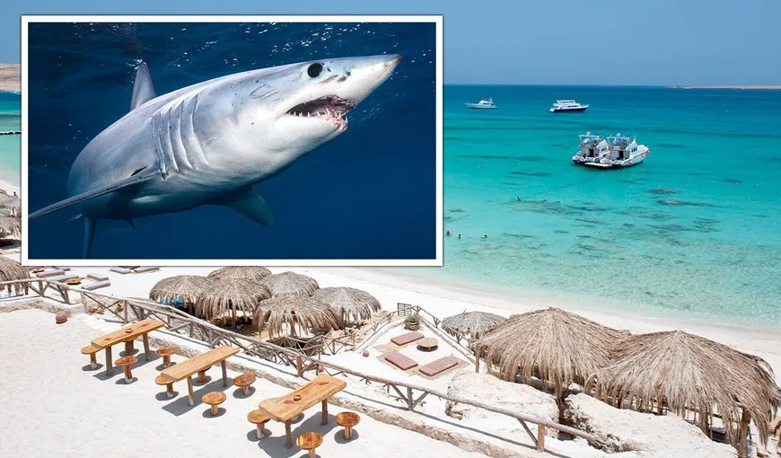 Turiştii din Egipt nu au voie parfumaţi în apă pentru a nu atrage rechinii. Minisubmarine verifică dacă sunt rechini lângă plaje