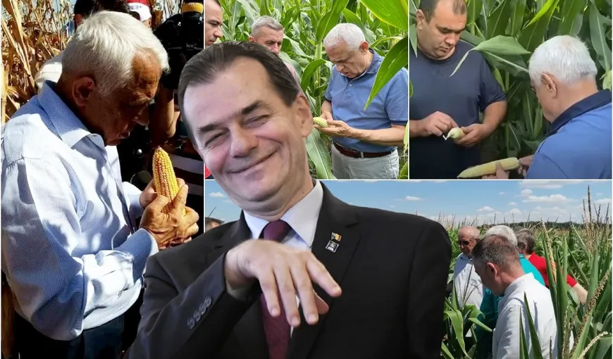 Ludovic Orban ironizează „ciocălăul” ministrului Agriculturii şi are un mesaj amuzant pentru fermieri: „Să vă numere Petre Daea boabele!”