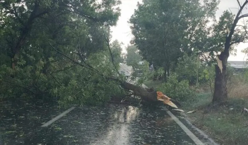 COD ROŞU de furtuni în Mureş şi Harghita. Este al treilea cod roşu emis pentru judeţul Harghita