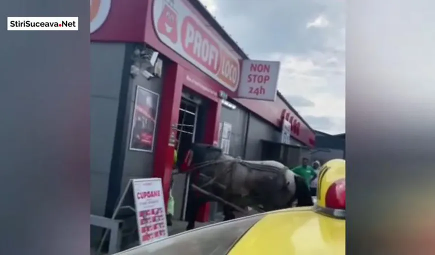 VIRALUL zilei vine din Suceava: A intrat cu căruţa în magazinul unde lucrează VIDEO