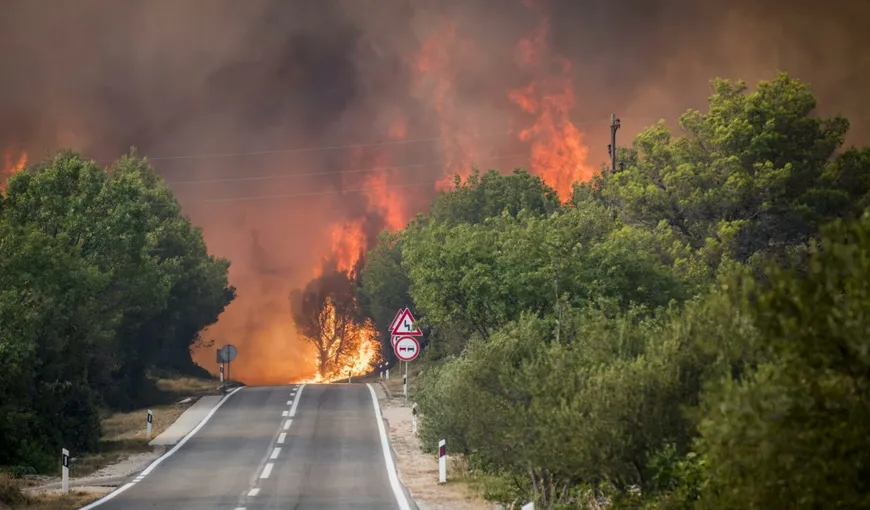 Europa, pârjolită de incendii din Portugalia până-n Croaţia. „Cupola de foc” înteţeşte flăcările, parcă ar fi iadul pe pământ VIDEO
