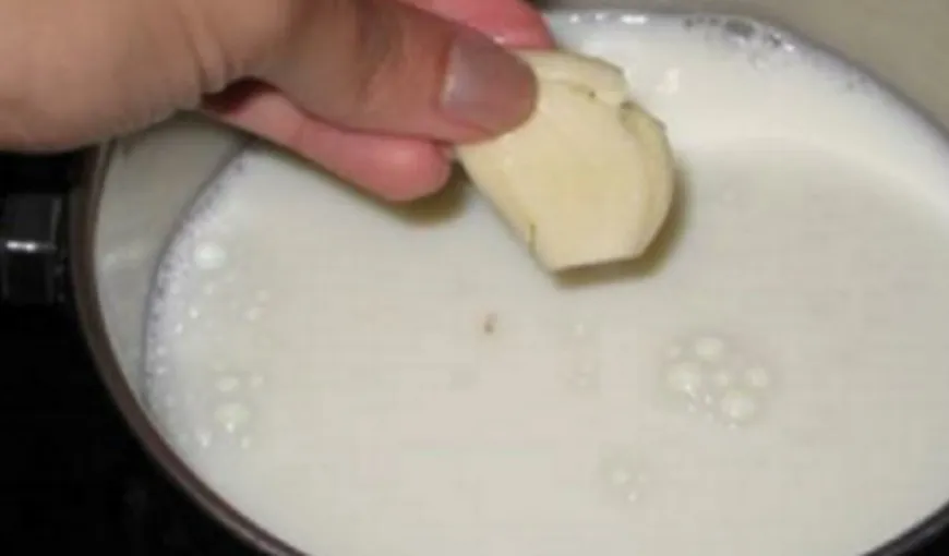 Ce se întâmplă în corpul tău dacă bei lapte cu usturoi. Această băutură este miraculoasă pentru organism