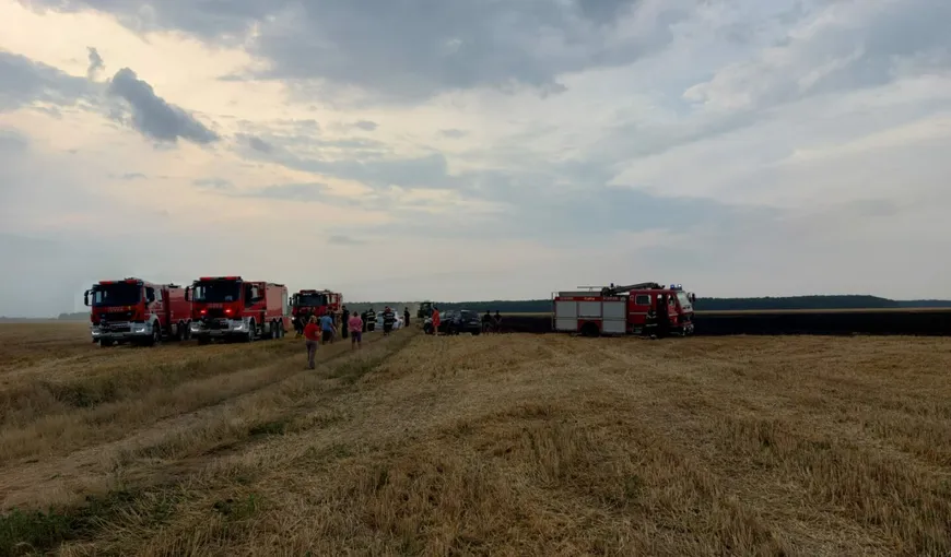 Sute de hectare de culturi agricole din România, distruse de incendii