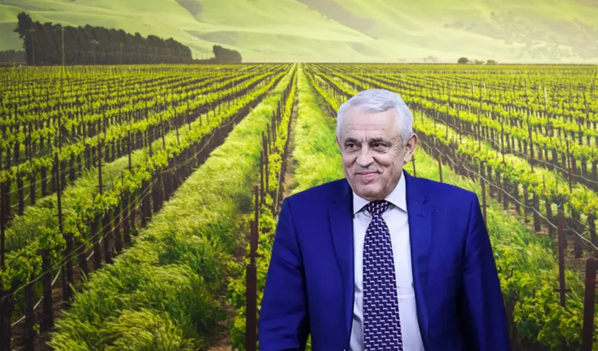 Planul ministrului Petre Daea pentru resuscitarea agriculturii din România: „Fiecare zi, fiecare oră contează!” | EXCLUSIV