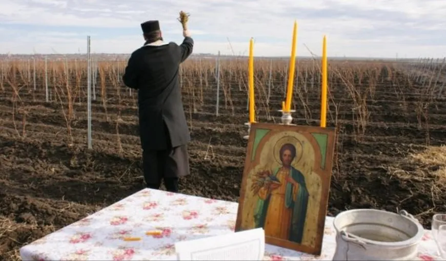 Patriarhia Română mobilizează preoţii pentru a combate seceta. Rostesc rugăciunile care aduc „ploaia liniştită”