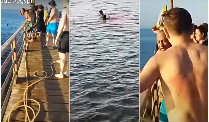 O româncă a fost sfâşiată de un rechin în staţiunea Hurghada din Egipt. MAE confirmă decesul femeii şi îi sfătuieşte pe turişti să respecte indicaţiile autorităţilor referitoare la înotul în mare