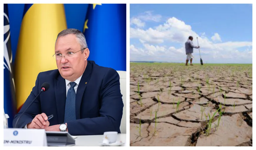 Secetă în România. Premierul Ciucă îi linişteşte pe români: „Avem suficient grâu pentru consum propriu şi pentru a exporta”