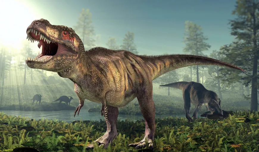 Stupefiant! De ce aveau dinozaurii T-rex mâinile mici?! Cercetătorii au descoperit motivul halucinant!