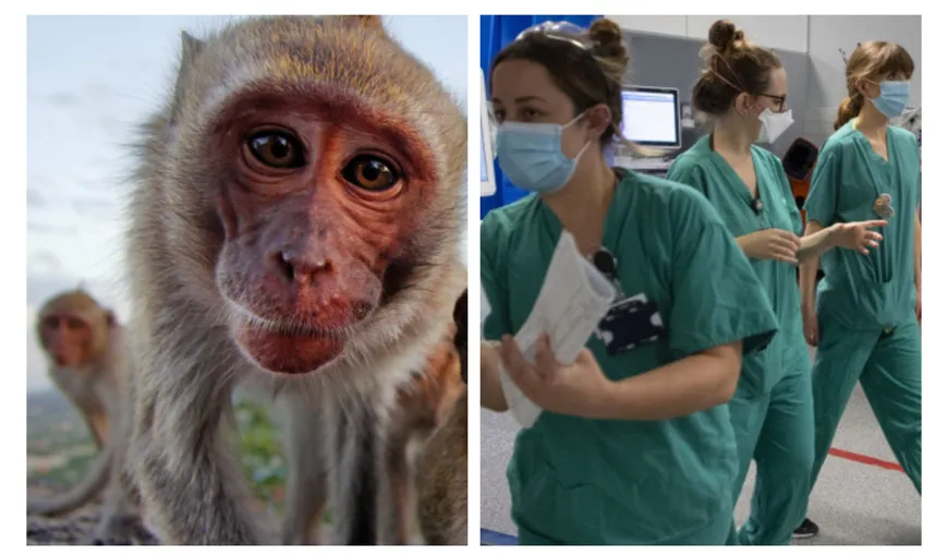 OMS, reuniune de urgenţă pe tema variolei maimuţei. Peste 10.000 de cazuri înregistrate la nivel mondial